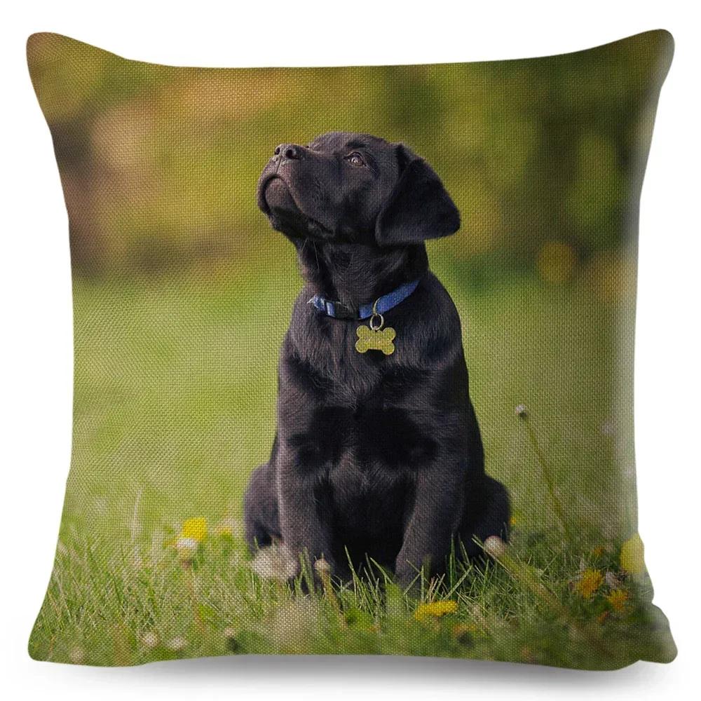Cute Black Labrador Dog Double-Sided Printed Pillow Cover Short Plush Suitable Living Rooms Bedrooms Sofas Throw Cushion Cover