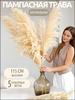 Dried flowers Pampas grass 120 cm 5 pcs copper