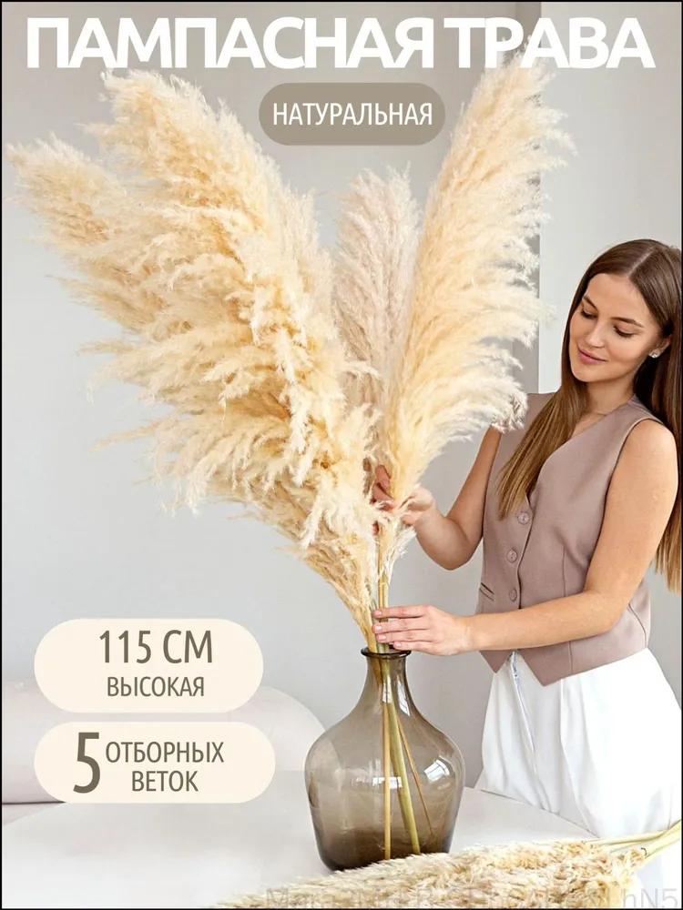Dried flowers Pampas grass 120 cm 5 pcs copper
