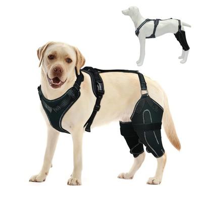 Yousheng Dogs Γόνατο σιδεράκι για πίσω πόδι Σκύλος ισχίο Γόνατο πόδι στήριγμα ACL για δυσπλασία ισχίου Αρθρίτιδα σκύλου Luxating patella