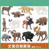 Realistic Pvc Forest Animal Model Set Featuring Cougar Raccoon Bear Moose Beaver