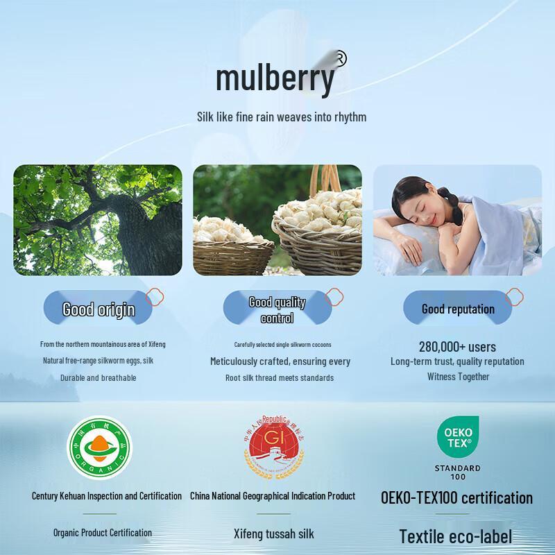 Bailisi Organic Tussah Silk Summer Quilt