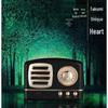HYUNDAI M11 Portable Retro Radio Speaker