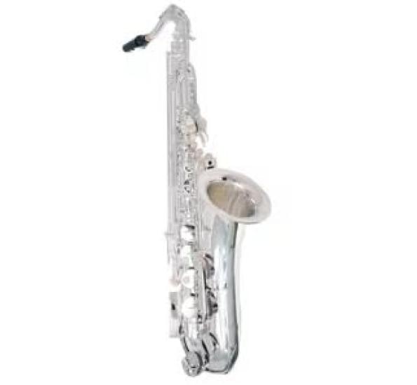 

PLAYTECH Tenor Saxophone Standard Model Semi-Hard Case Included Silver