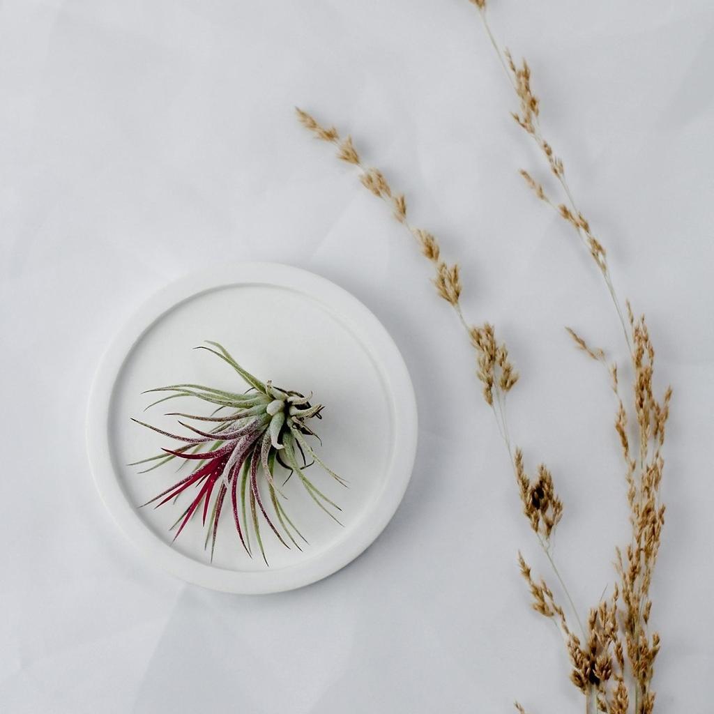 Round Gypsum Tray Silicone Molds Terrazzo Concrete Coaster Cement Pallet Epoxy Resin Molds DIY Jewelry Dish Home Ornament Moulds