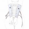 BDSM Bondage Leg/Arm Binder,Behind Back Straight Jacket,SM Leather Armbinder Restraint Slave Lockable Glove With Shoulder