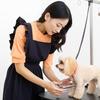 Gliitatu Stylish Women's Apron, Cute, Water-Repellent, Covers Your Bottom, Cafe Dress (Black)
