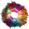 100Pcs Red Rooster Chicken Feathers Trims for Costume Party Clothimg Jewelry Making Natural Pheasant Tail 15-20 CM Multicolors