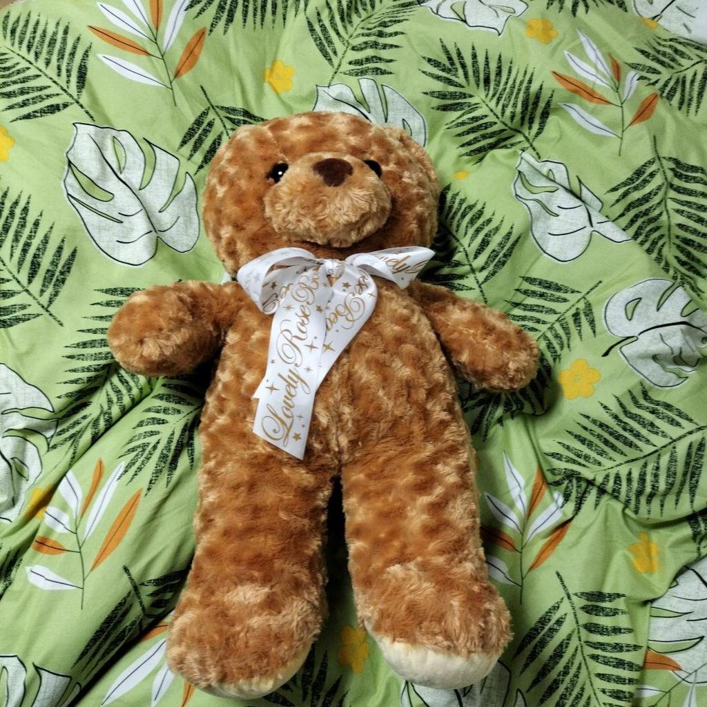 [USED] Teddy Bear About 60cm