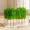 Sprout Planting Helper Sprouts Growing Tray Soilless Cultivation Cat Grass Dish