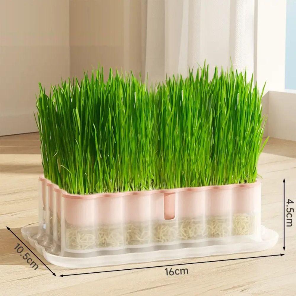 Sprout Planting Helper Hydroponic Sprouting Plate Soilless Cultivation Cat Grass Dish