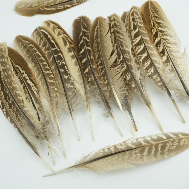 15-18cm Natural Pheasant Feathers for DIY Crafts Premium Handmade Costume Accessories Fly Tying & Wedding Decor Supplies Bulk