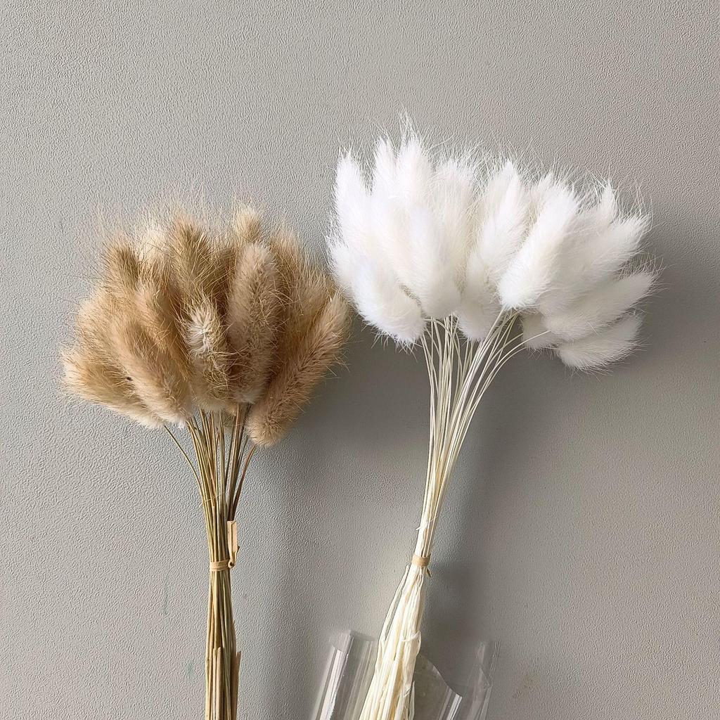 Whisk Rabbit Tail Grass Dried Flower Bouquet - Natural Pampas Grass & Small Reed