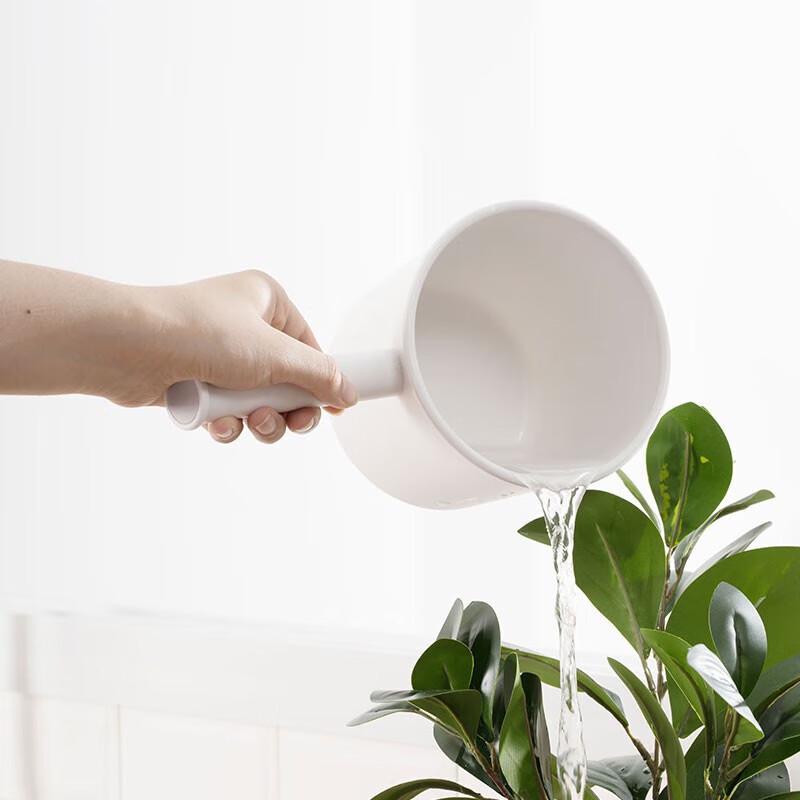 Camellia Barry Plastic Water Ladle