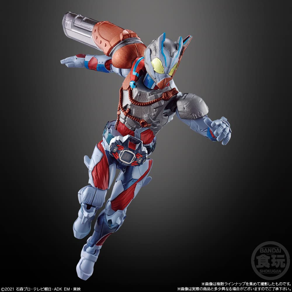 Shodo Kamen Rider Revise by9 Godis Tuggummi Ryttare (14 stycken) Leksaker/Tugg (Kamen revidera)