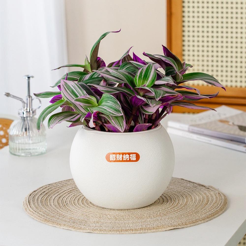 Samozavlažovací hydroponický květináč s vyjímatelným dekorem kancelářských bonsají