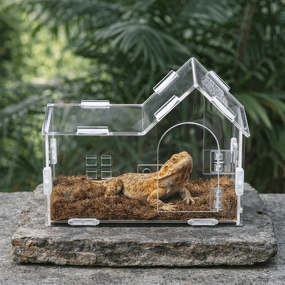 Acrylic Reptile Feeding Box Magnetic Spider Observation Box Animal Habitat Cage  Playing
