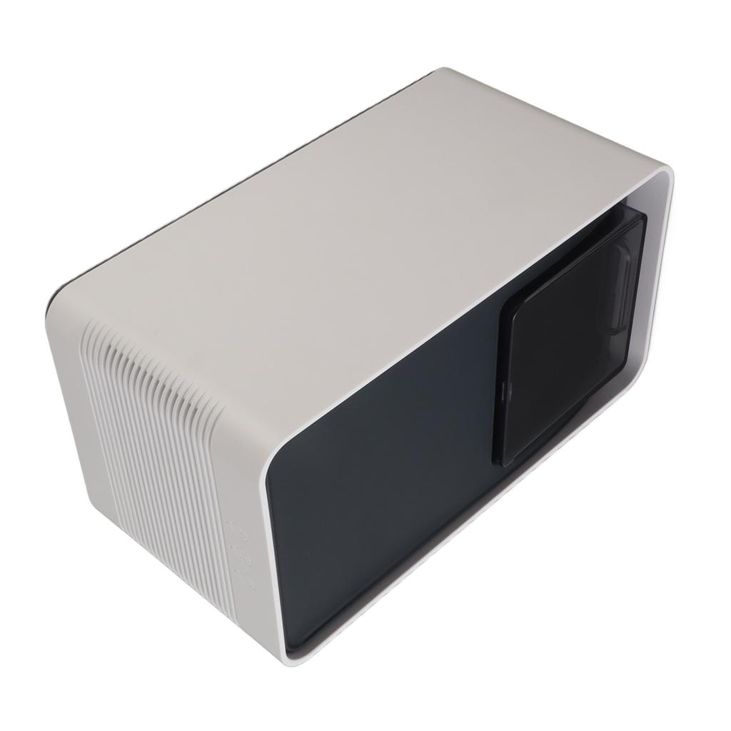 Small Dehumidifier Quiet Efficient Mini Dehumidifier for Home Bedroom Closet Basement White