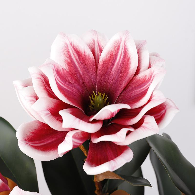 3D-Gefühl Baumwoll-Magnolienblüte Heimfotografie Dekoration Blume Weiches Hochzeitsornament Kunstblume