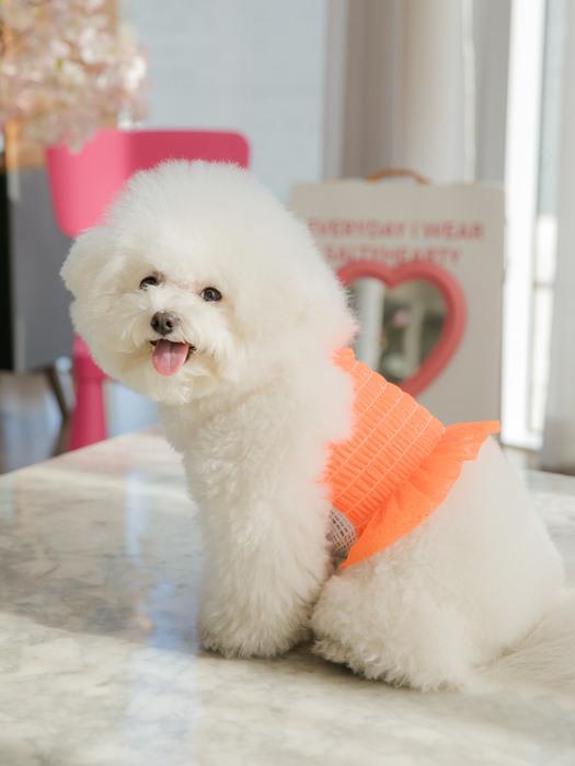 SALTYHEARTY Hello Crop Blouse NEON ORANGE