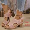 Fashion Hollow Out Women's High Heels Sandals Summer Hook Loop Thick Heeled Platform Sandles Casual Anti-Slip Beach Sandals Plus Size