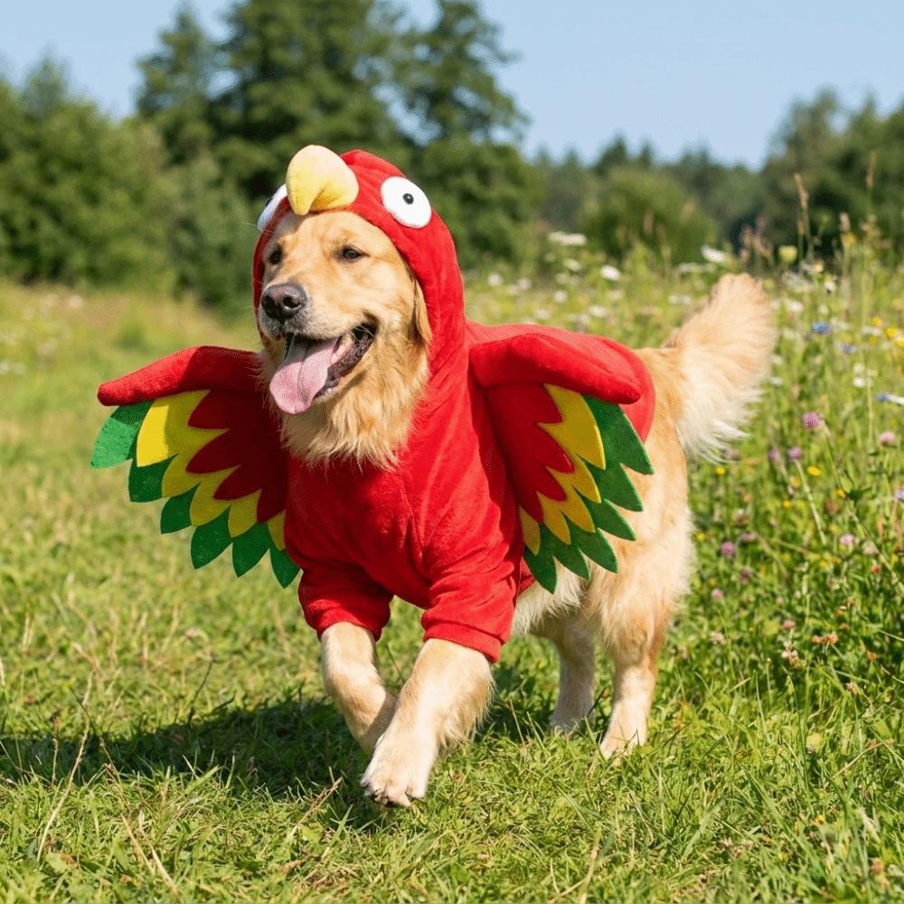 Big Eyed Turkey Shaped Dog Hooded Transformation Outfit Wings Plush Dog Coat Festival