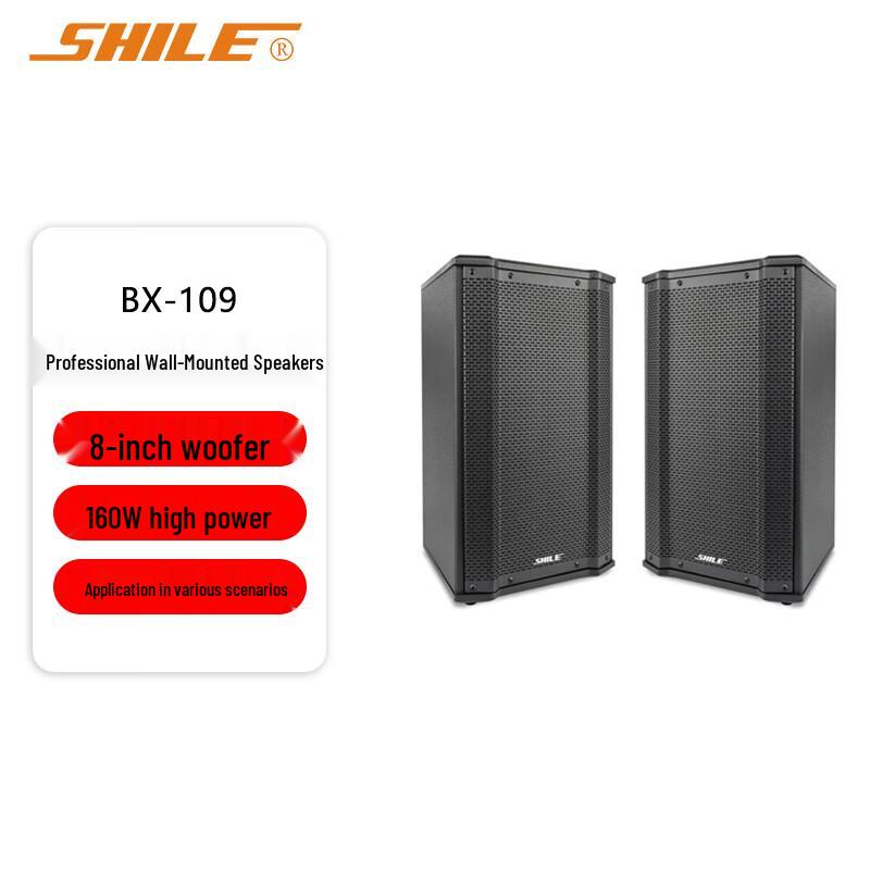 

Shile BX-109 8-inch Professional Passive Speaker (CN version)