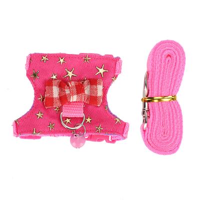 Kleintier Laufgeschirr Weste Leine Set Outdoor Brustgurt für Frettchen Chinchilla Eichhörnchen Haustierzubehör