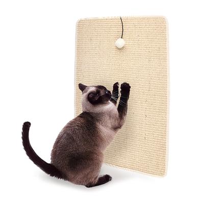 Kedi