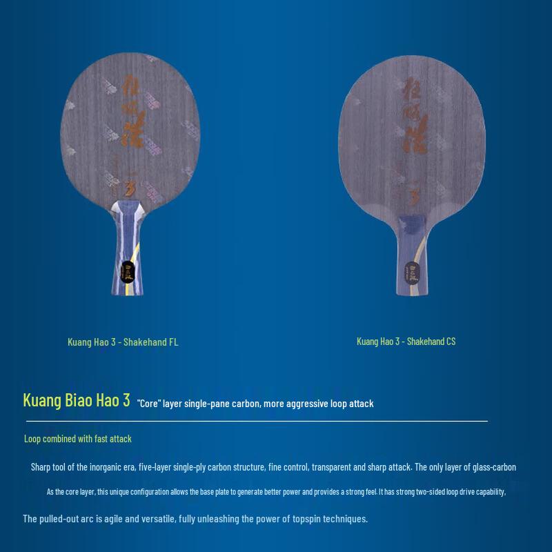 DHS Wang Hao Signature Table Tennis Racket