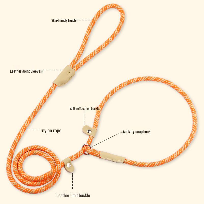 Universal Buckle Dog Leash for Medium & Large Dogs - P Chain Collar