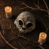 For Halloween Costume Party Decoration Prop