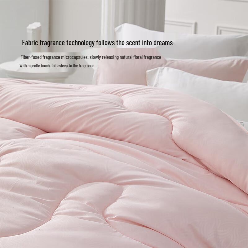 

Mercury Home Textiles Platium Royal 2-in-1 Quilt