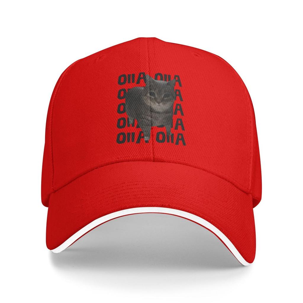Baseball Caps Funny Oiia Cat Meme Casquette Men Women Sport Spring Hats