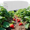 Garden Net Plant Cover 3*3/6/10/15m Garden Netting Bird Barrier Outdoor Cuttable Protector For Raised Vegetables Fruits Berry