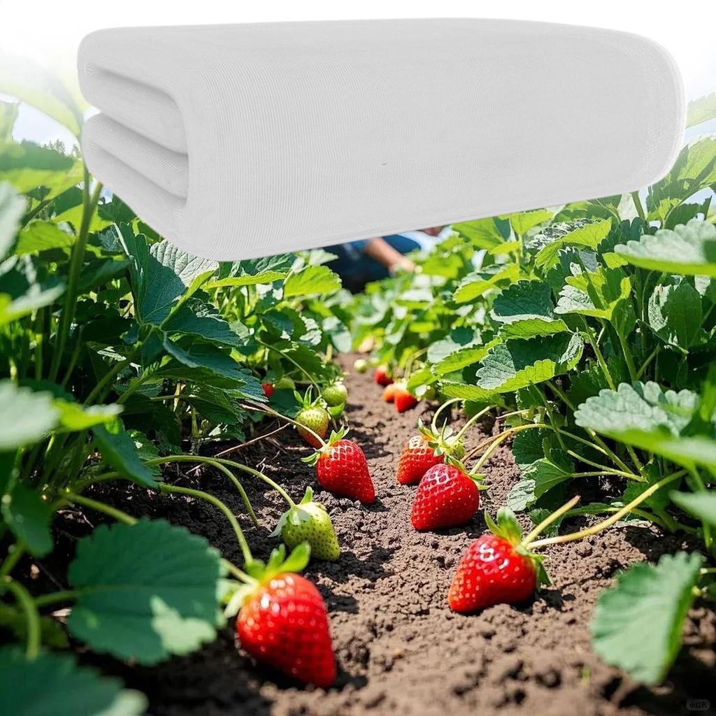 Garden Net Plant Cover 3*3/6/10/15m Garden Netting Bird Barrier Outdoor Cuttable Protector For Raised Vegetables Fruits Berry