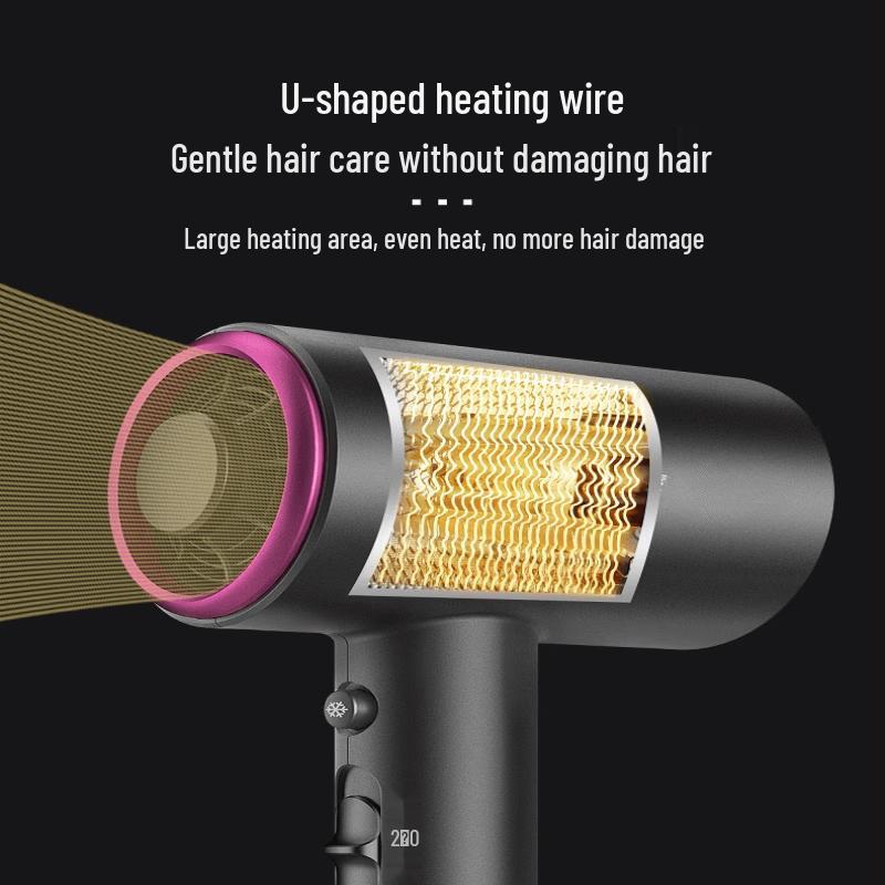 LISM Negative Ion Hair Dryer