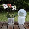 Atmungsaktiver Blumentopf Transparenter PP-Pflanztopf für Orchideen Caladiums Selbstbewässernd Belüftend Sonnenbeständig Blumentopf für Hausgarten