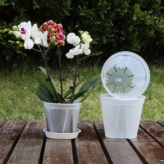 Breathable Flower Pot Transparent PP Planter for Orchids Caladiums Self-Watering Aerating Sun Resistant Flowerpot for Home Garden