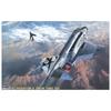 Hasegawa US Navy Phantom II with Canopy Plastic Model Kit PT6 1/48 F-4J One-Piece