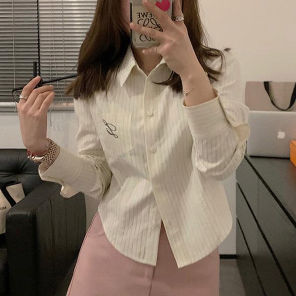 Korean Embroidered Striped Blue Shirt for Women - Spring/Autumn 2026 New Design