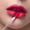 3CE Velvet Lip Tint Blush 4g