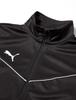Puma TEAMRISE Training Black Size 160 Jacket, JR, Boys, (03),