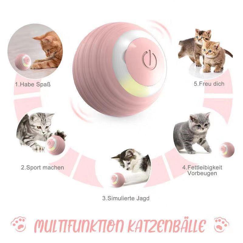 Pet Toy Dog Cat Interactive Ball Catnip Dog Chew Toy Cat Dog Interactive Toys Resistant Grinding Non Destructive Bite Proof