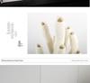 Creative Coral Tube Handicraft: Modern Marine Art for Home or Office Display
