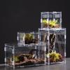Reptile Anti-Escape Breeding Box Acrylic Transparent Breathable Amphibian Tank for Turtle Spider Lizard Snake Frog Reptiles Cage