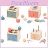 Sortierbox Holz Lernspielzeug für Baby Farb-Form-Erkennung