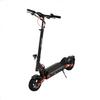 Scooter électrique JOYOR T6 - Moteur 600 W - Batterie 48 V--18 Ah - Pneus 10 pouces - Noir
