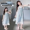 Sweet girl dress 2026 new western-style children's clothing, girls' summer clothes, floral suspender dress, princess dress