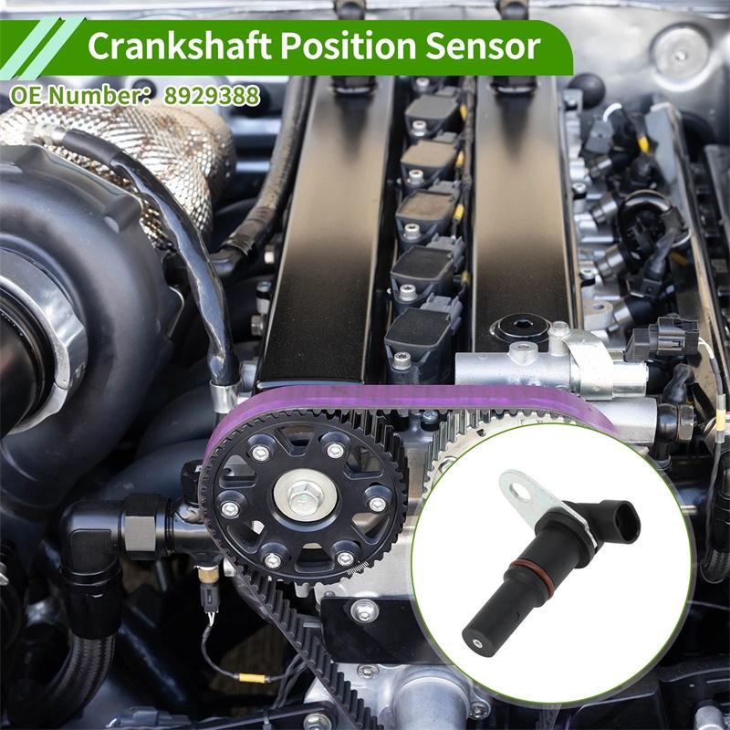 8929388 Crankshaft Position Sensor For Detroit Diesel Series 60 Trs Sturdy Black Engine Crank Ckp Sensor